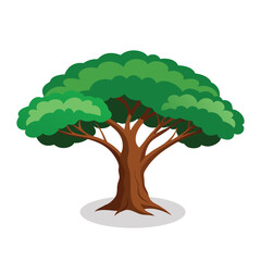 Khejri Tree flat vector illustration on white background.