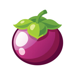  Mangosteen fruit flat vector illustration on white background