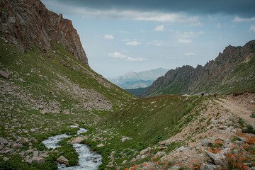 Obraz premium landscape in the summer