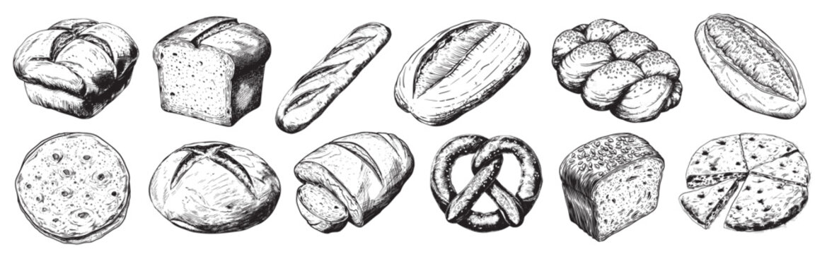 Various kinds of bread, french croissant, brioche, white roast and whole grain bread, hand drawn illustrations, vectors isolated on white background, black and white ink drawing