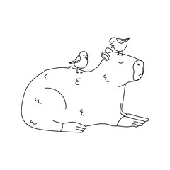 Capybara With Birds Line Art
