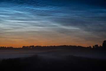 silver clouds in the meadow at night with fog in the field