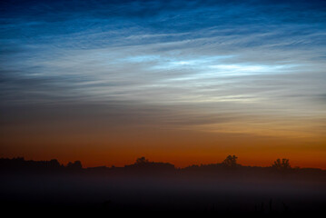 silver clouds in the meadow at night with fog in the field