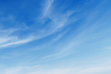 sky is blue and clear with no clouds