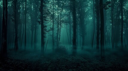 Mysterious Foggy Forest - A serene image of a mysterious, foggy forest, showcasing the tranquility of nature. - A serene image of a mysterious, foggy forest, showcasing the tranquility of nature.