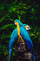 Explore a stunning array of images in our photo bank. From breathtaking landscapes to captivating portraits, find the perfect visuals for your creative projects and marketing campaigns