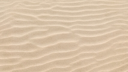 Horizontal Beach Sand Texture with Water and Wind in Background