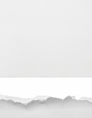 Obraz premium White Background Paper Tear with Copy Space