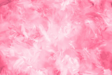 Abstract Colorful Feathers with Soft Textures on White and Pink Backgrounds, Valentine's Day Theme