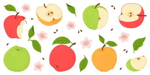 Apple fruit vector set. Whole, half, slice of red green and yellow apple fruit with green leaves and flowers collection. Hand drawn flat style isolated Vector illustration