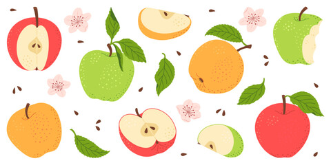 Apple fruit vector set. Whole, half, slice of red green and yellow apple fruit with green leaves and flowers collection. Hand drawn flat style isolated Vector illustration