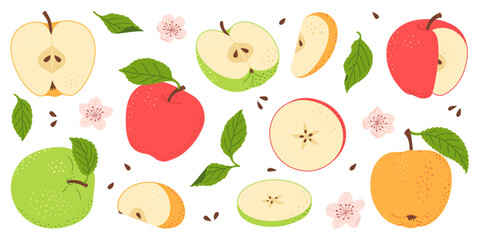 Apple fruit vector set. Whole, half, slice of red green and yellow apple fruit with green leaves and flowers collection. Hand drawn flat style isolated Vector illustration