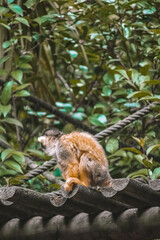 Explore a stunning array of images in our photo bank. From breathtaking landscapes to captivating portraits, find the perfect visuals for your creative projects and marketing campaigns