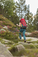 Obraz premium A woman is hiking up a mountain with a red backpack on her back. The backpack is large and he is filled with supplies. The woman is wearing a yellow and blue outfit