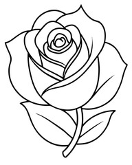 Black Rose illustration line art vector