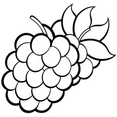 illustration of Grapes line art vector