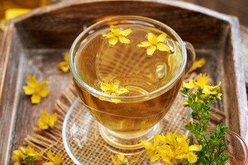 A transparent glass cup of St. John's wort or Hypericum flower tea