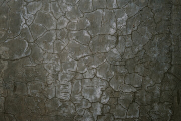 Weathered wall with cracked and peeling paint, creating an abstract visual effect