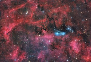 NGC 6914 Nebulae in the Cygnus Constellation