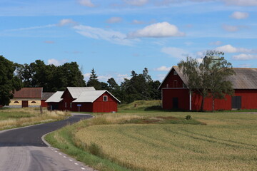 Sweden. Houses in Sweden in the countryside. Ostergotland province. 