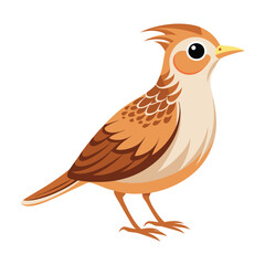 Illustration of cute skylark bird isolated