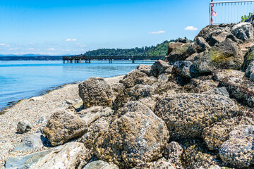 Dash Point Shoreline Pier