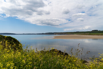 Au premier plan, une végétation printanière s'épanouit devant une plage de sable, avec les reflets des nuages dans la rivière de l'Aber sur la presqu'île de Crozon en Bretagne.