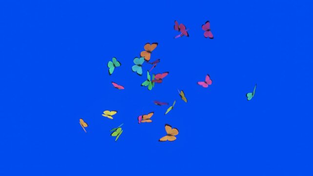 3d animation of a collection of colorful butterflies on a blue background. Illustration of wild animals flying in the air. Cluster of insects