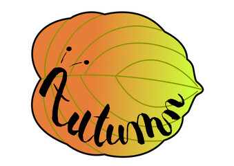 モダンカリグラフィーハナミズキautmunai.ai