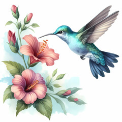 Fototapeta premium watercolor of hummingbird hovering over a flower on white background