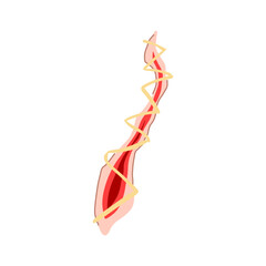 wound suture cartoon. scar surgery, skin surgical, needle stitch wound suture sign. isolated symbol vector illustration