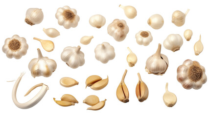 Fototapeta premium Collection of garlic and cloves, isolated on transparent background.