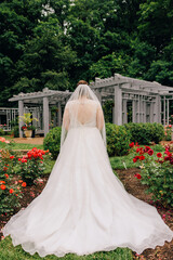 bride in the park