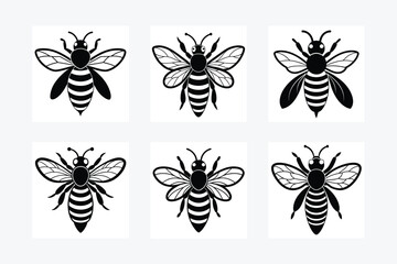 Bee, honey bee isolated on a white background. Naturalistic, scientific, botanical engraved illustration, vector drawing,