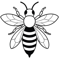 Bee, honey bee isolated on a white background. Naturalistic, scientific, botanical engraved illustration, vector drawing,