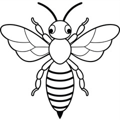 Bee, honey bee isolated on a white background. Naturalistic, scientific, botanical engraved illustration, vector drawing,