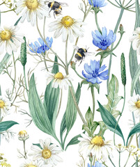 Wild flowers seamless pattern with medicinal herbs. Watercolor background with chamomile chicory 