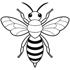 Bee, honey bee isolated on a white background. Naturalistic, scientific, botanical engraved illustration, vector drawing,