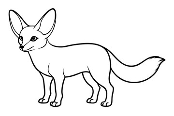 A fennec fox vector art line illustration with a great level of detail