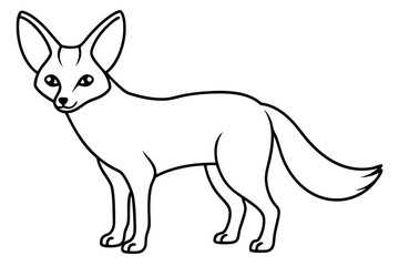 A fennec fox vector art line illustration with a great level of detail