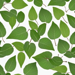 Fototapeta premium Floral Collage Set with White Rose and Green Leaf Elements for Springtime Garden Bouquet Arrangement