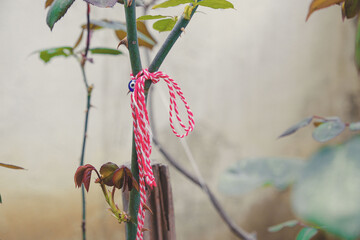 Bulgarian symbol of spring martenitsa bracelet. March 1 tradition white and red cord martisor