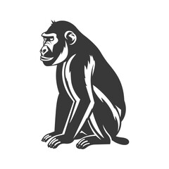 Fototapeta premium minimalist logo or symbol baboon animal black color only