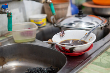 A cockroach wants to eat leftover food in a bowl