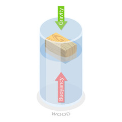 3D Isometric Flat  Illustration of Buoyancy Force. Item 1