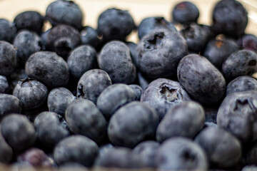 blueberries in a bowl