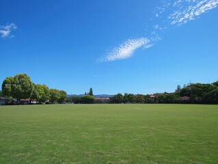 Fototapeta premium A large, empty field with green grass and trees in the distance. AI.