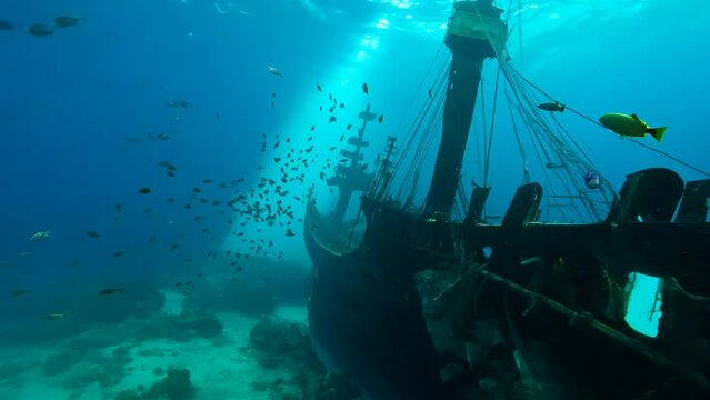 scuba diver in the sea