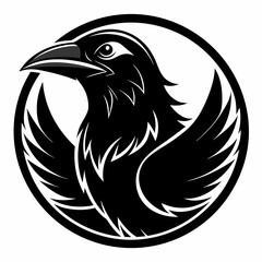 black and white bird