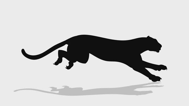 Running cheetah aniamtion video